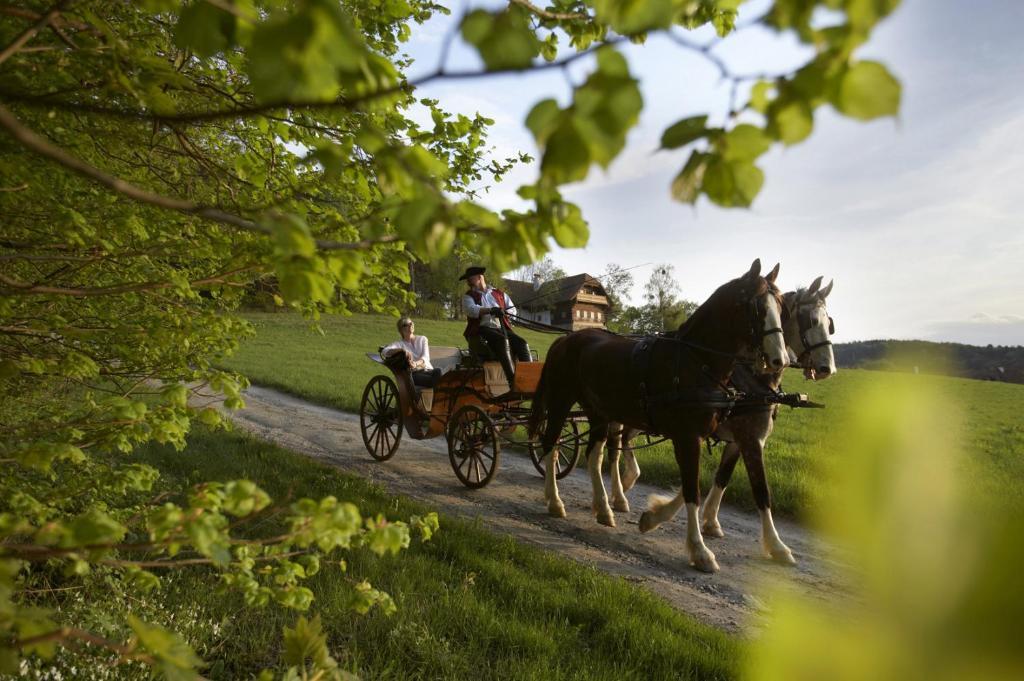 Ferienhaus Troadkasten - Familie Friedrich Hartberg Extérieur photo